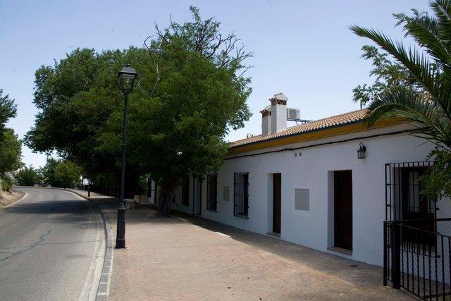 Apartamentos Rurales El Canuelo De Carcabuey Rum bild