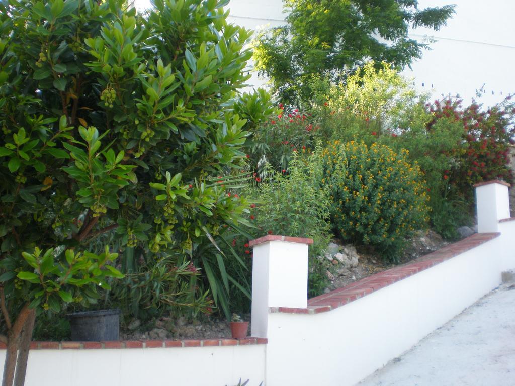 Apartamentos Rurales El Canuelo De Carcabuey Rum bild