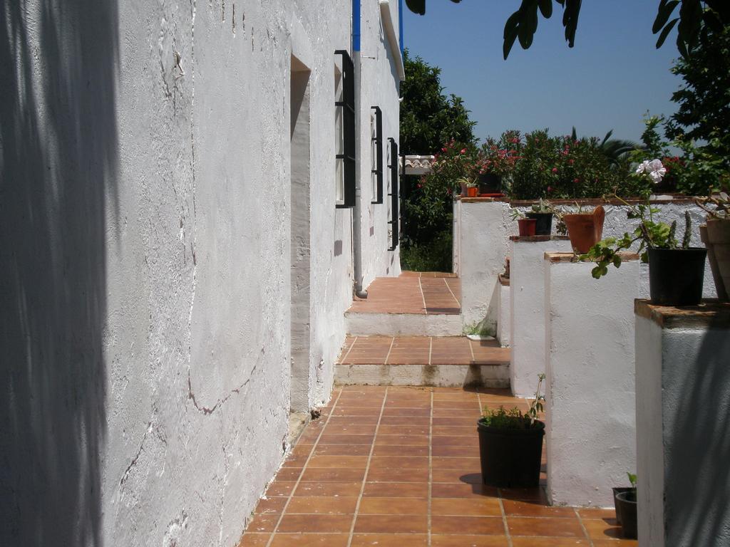 Apartamentos Rurales El Canuelo De Carcabuey Rum bild
