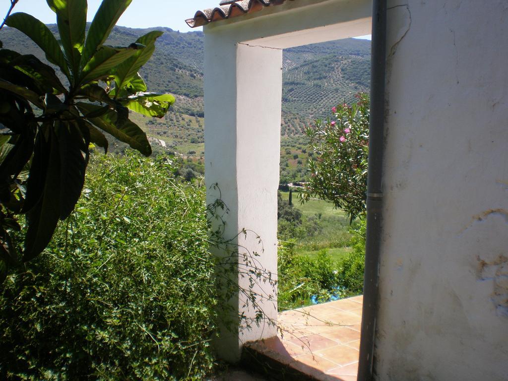 Apartamentos Rurales El Canuelo De Carcabuey Rum bild